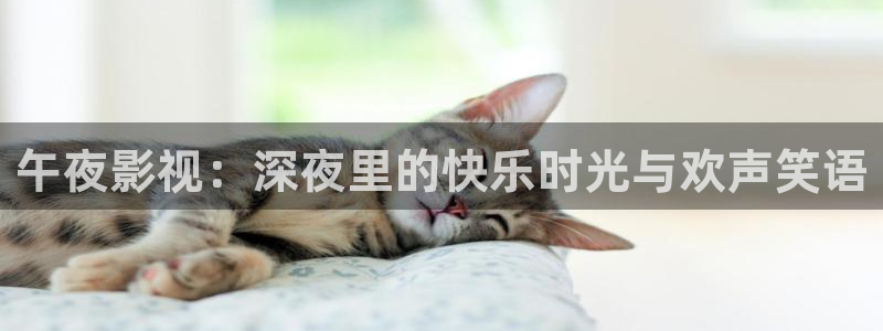 yy影院在线观看免费播放电视剧大全桔子