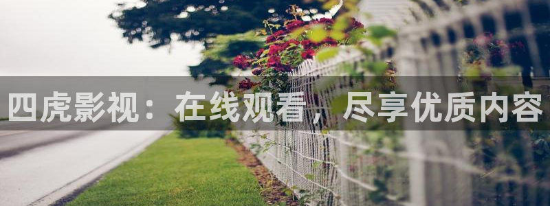 桔子影院电视剧全集